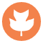 Camp Tekoa leaf Icon with orange background